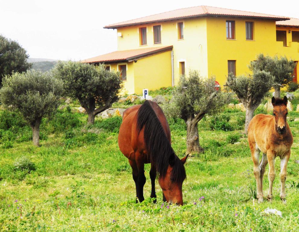 Bed and Breakfast Casa Casti Sant' Antonio di Santadi Esterno foto